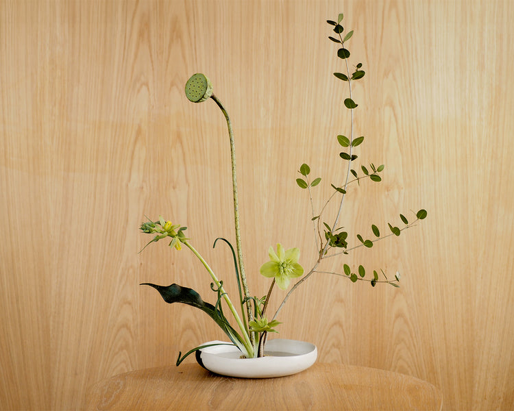 Ikebana Kit
