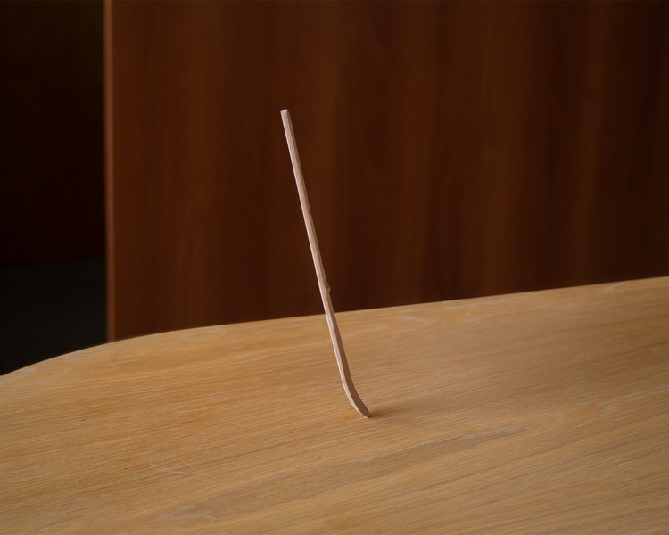 Matcha Spoon (Chashaku)