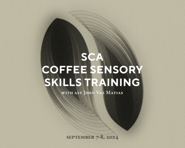 SCA Coffee Sensory Skills Training